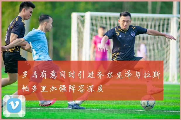 罗马有意同时引进齐尔克泽与拉斯帕多里加强阵容深度