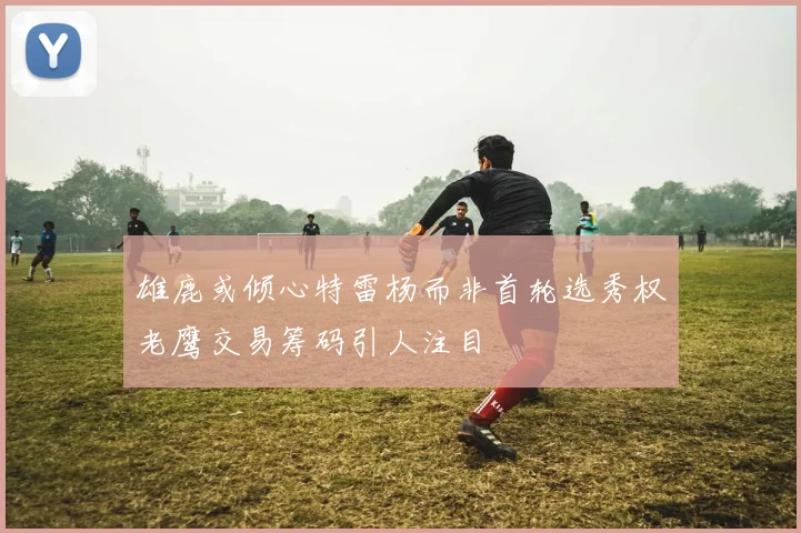 雄鹿或倾心特雷杨而非首轮选秀权老鹰交易筹码引人注目